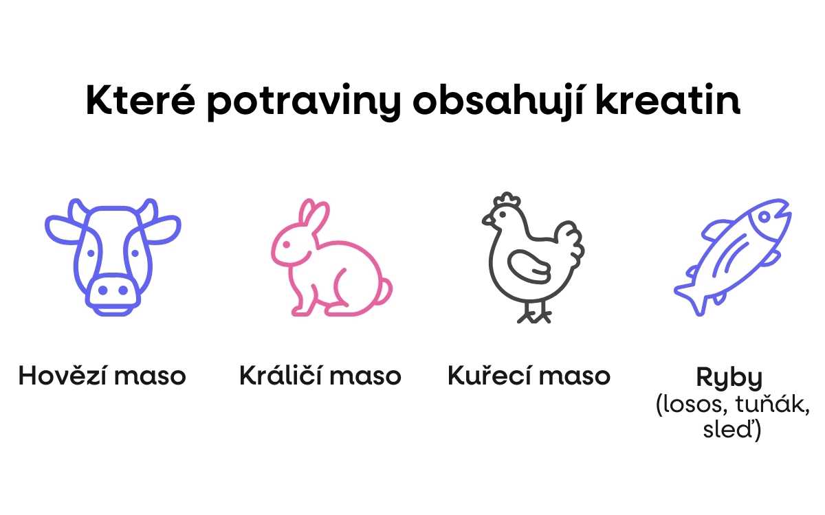 potraviny kreatin